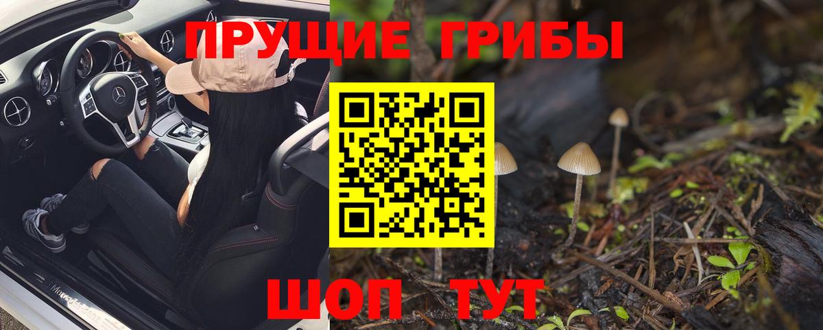 Галлюциногенные грибы ЛСД Михайловск