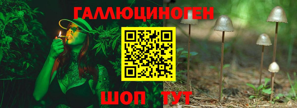 Михайловск  Галлюциногенные грибы Magic Shrooms  наркота  Вход с VPN 